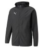 Puma teamCUP Windshield Jacket