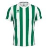 Errea Strip Short Sleeve Jersey Green-White
