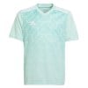 adidas Team Icon 23 Jersey Clear Mint