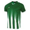 Stanno Vivid Short-Sleeved Shirt