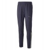 Puma teamCUP Casuals Pant Parisian Night