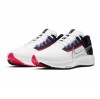 Nike Womens Pegasus 38 Women's Running Shoes White-Metallic Silver-Black