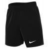 Nike Academy Pro 24 Dri-FIT Shorts