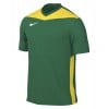 Nike Park Derby IV Dri-FIT Short Sleeve Shirt Pine Green-Tour Yellow-White