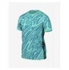 Nike Dri-Fit Gardien V Goalkeeper Jersey SS Hyper Turquoise-Teal Nebula-White