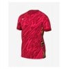 Nike Dri-Fit Gardien V Goalkeeper Jersey SS Laser Crimson-University Red-White