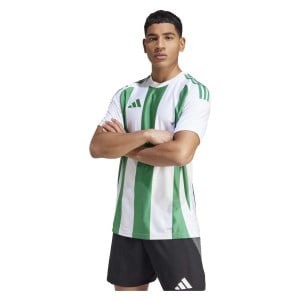 adidas Striped 24 Jersey White-Team Green