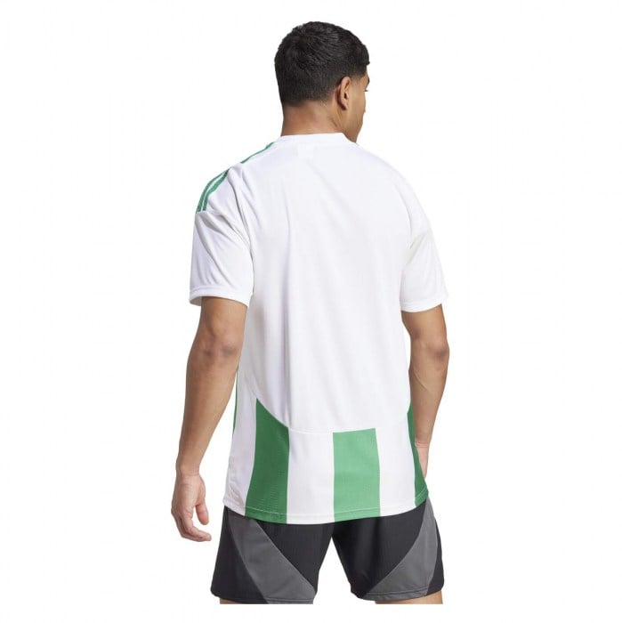 adidas Striped 24 Jersey White-Team Green