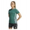 adidas Womens Tiro 24 Competition Training Jersey (W) Team Dark Green - Tech Emerald - White