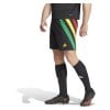 adidas Fortore 23 Shorts Black-Team Green