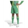 adidas Tiro 24 Goalkeeper Shorts Team Green