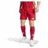 adidas Tiro 24 Competition Match Shorts