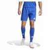 adidas Tiro 24 Competition Match Shorts Team Royal Blue