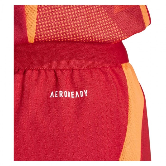 adidas Womens Tiro 24 Competition Match Shorts (W)