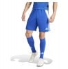 adidas Tiro 24 Shorts