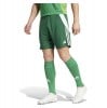 adidas Tiro 24 Shorts Team Dark Green-White