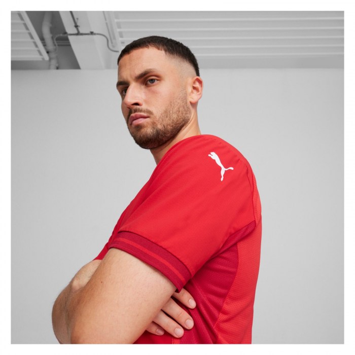 Puma TeamFINAL Jersey