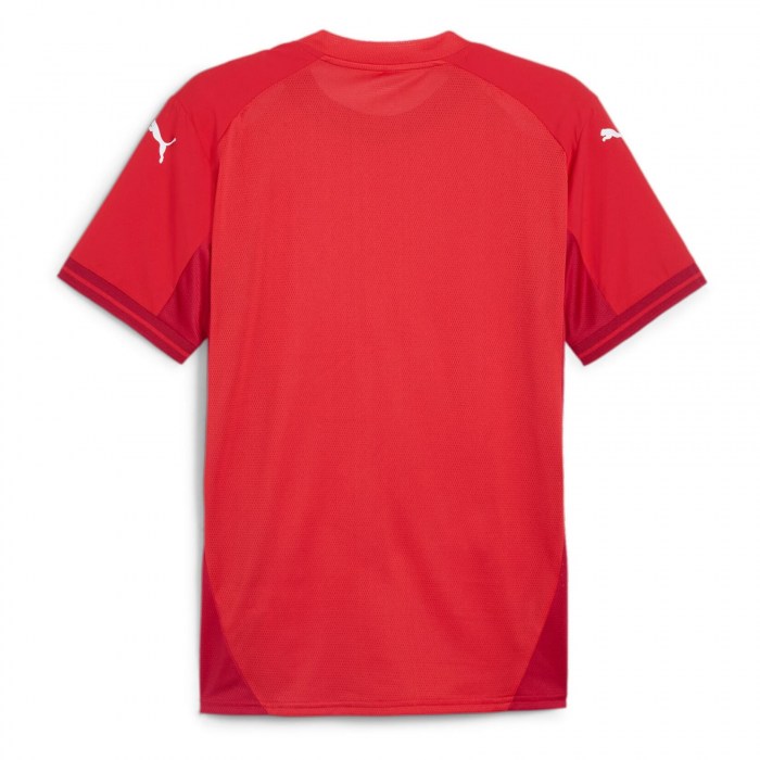 Puma TeamFINAL Jersey