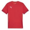 Puma TeamGOAL Matchday Jersey