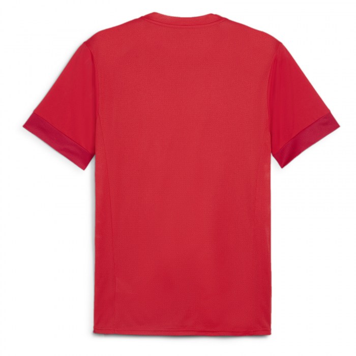 Puma TeamGOAL Matchday Jersey