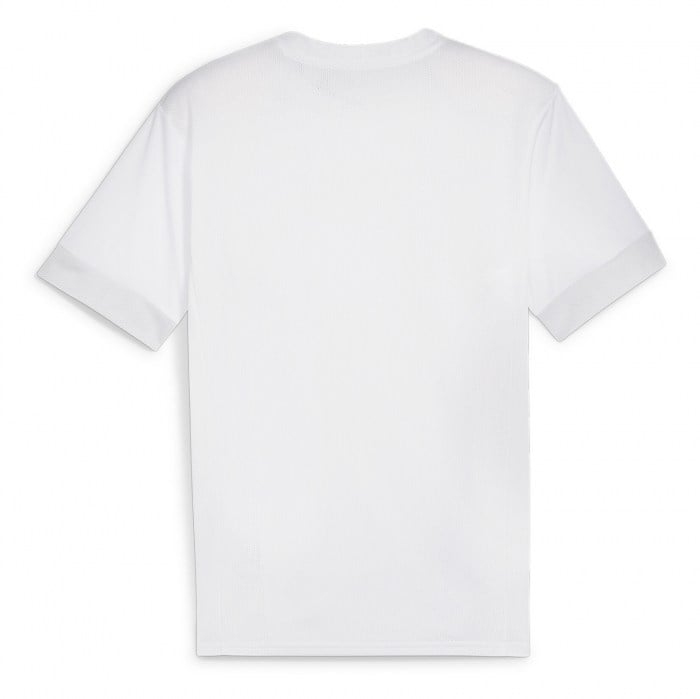 Puma TeamGOAL Matchday Jersey Puma White-Puma Black-Feather Grey