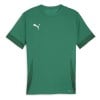 Puma TeamGOAL Matchday Jersey Sport Green-Puma White-Power Green
