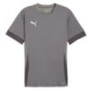 Puma TeamGOAL Matchday Jersey Cast Iron-Puma White-Shadow Grey