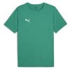 Puma TeamRISE Matchday Jersey Sport Green-Puma White