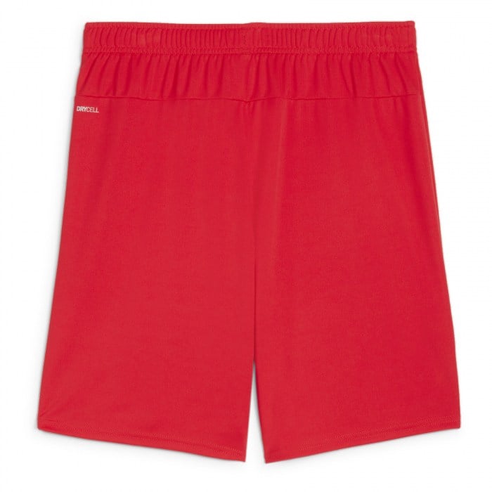 Puma TeamGOAL Shorts