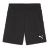 Puma TeamGOAL Shorts Puma Black-Puma White