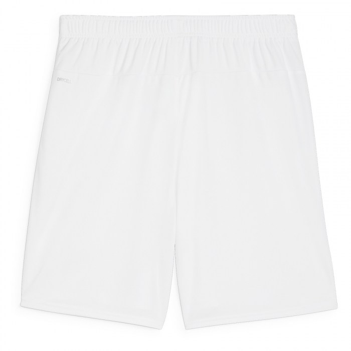 Puma TeamGOAL Shorts Puma White-Puma Black