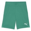 Puma TeamGOAL Shorts Sport Green-Puma White