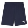 Puma TeamGOAL Shorts Puma Navy-Puma White