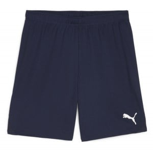 Puma TeamGOAL Shorts Puma Navy-Puma White