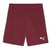 Puma TeamGOAL Shorts Team Regal Red-Puma White