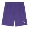 Puma TeamGOAL Shorts Team Violet-Puma White