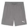 Puma TeamGOAL Shorts Cast Iron-Puma White