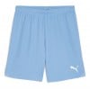 Puma TeamGOAL Shorts Team Light Blue-Puma White