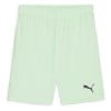 Puma TeamGOAL Shorts Fresh Mint-Puma Black