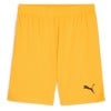 Puma TeamGOAL Shorts Sun Stream-Puma Black