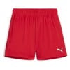 Puma Womens TeamGOAL Shorts (W)