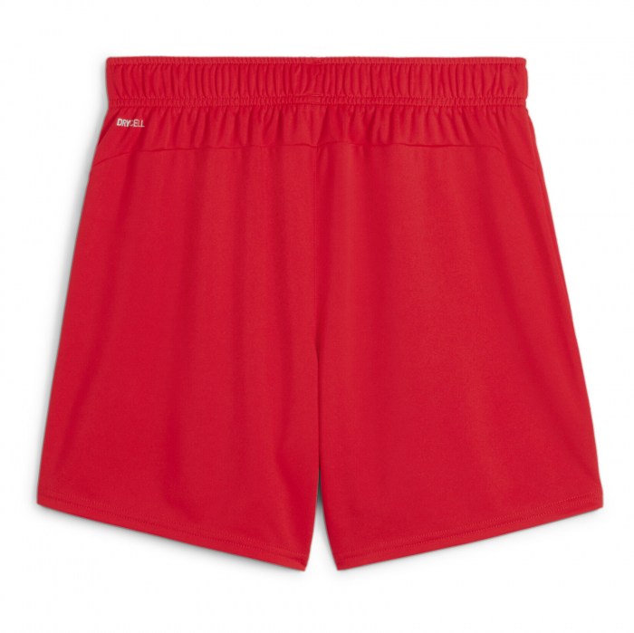 Puma Womens TeamGOAL Shorts (W)