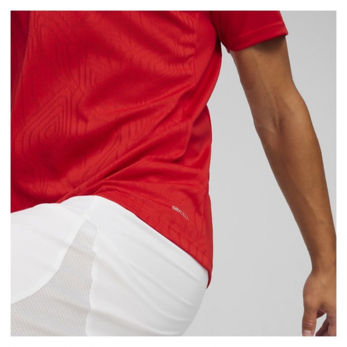 Puma TeamFINAL Training Jersey