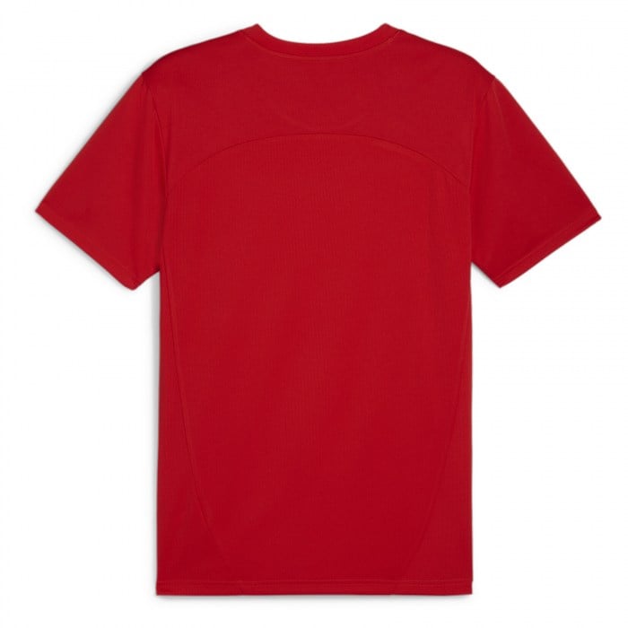 Puma TeamFINAL Training Jersey