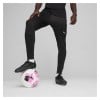 Puma TeamFINAL Training Pants