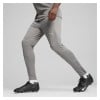 Puma TeamFINAL Training Pants Cast Iron-Puma Silver