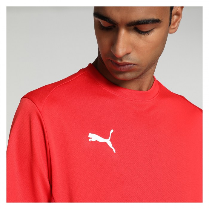 Puma TeamGOAL Jersey