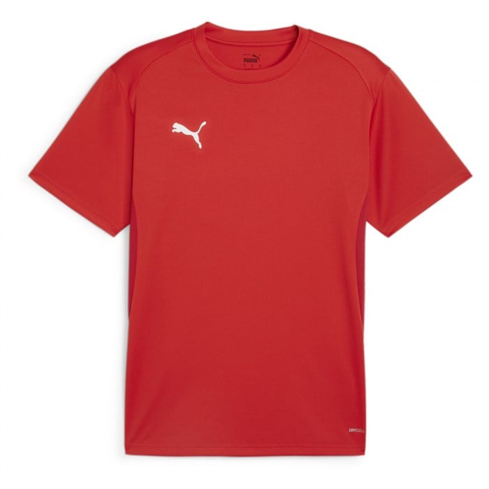Puma TeamGOAL Jersey