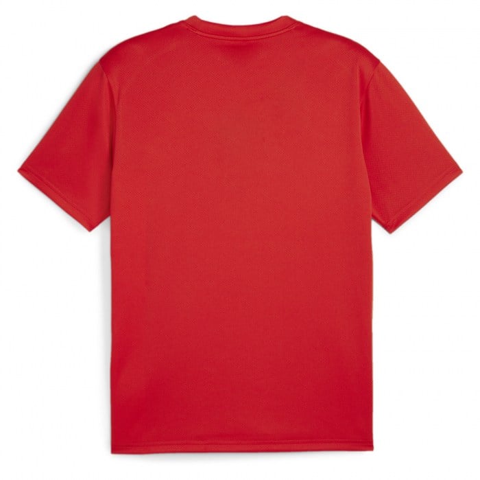 Puma TeamGOAL Jersey