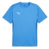 Puma TeamGOAL Jersey Electric Blue Lemonade-Puma White-Puma Team Royal